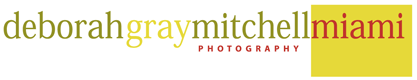 Miami Advertising Photographer Portrait Corporate and Business Photograpy  Performance Photography Studio Location