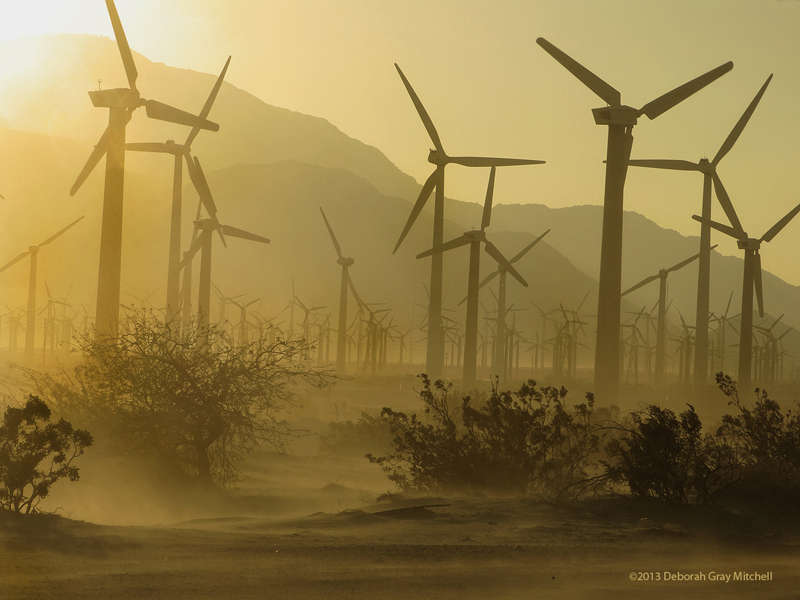 Wind turbines near Palm Springs,California, appear as the graves of countless soldiers who have died in the quest for energy. : Fallen Soldiers : Deborah Gray Mitchell     Photographic Artist 