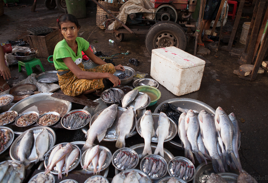 Yangon fish seller, Myanmar
