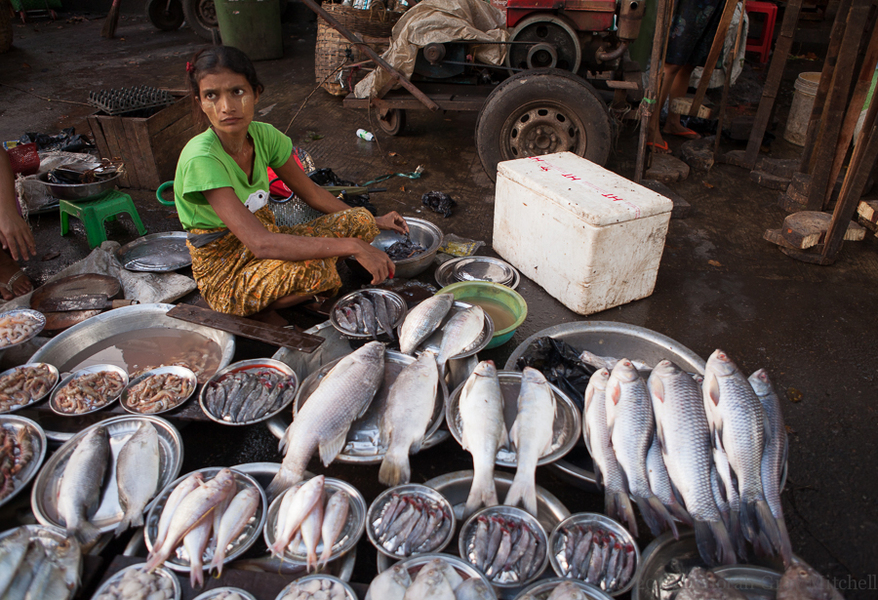 Yangon fish seller, Myanmar
 : 777 Steps to Nirvana, Myanmar : Deborah Gray Mitchell     Photographic Artist 