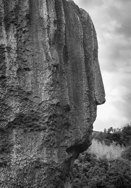 George Washington is here. Stone Forest, Kunming.   ©2015 Deborah Gray Mitchell
 : China, 2015 : Deborah Gray Mitchell     Photographic Artist 