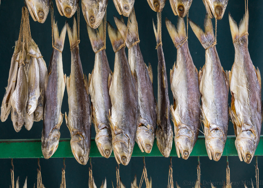 Dried Fish, Macau. ©2015 Deborah Gray Mitchell : China, 2015 : Deborah Gray Mitchell     Photographic Artist 