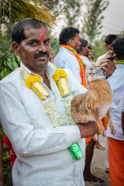 Makar Sankranti Festival celebrates winter solstice. Near Hassan, Karnataka, 2020.
